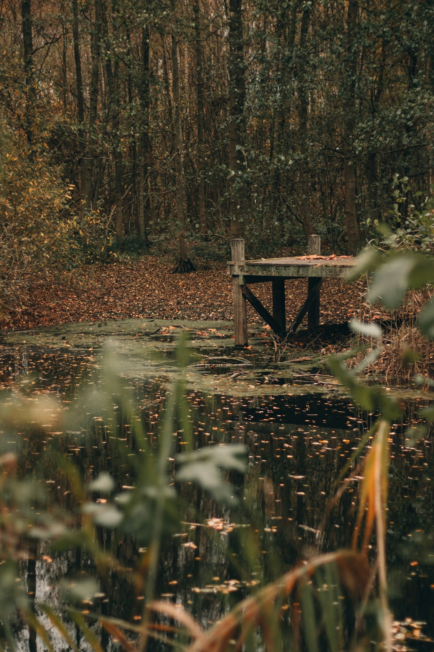 How to Create a Daily Mindfulness Routine