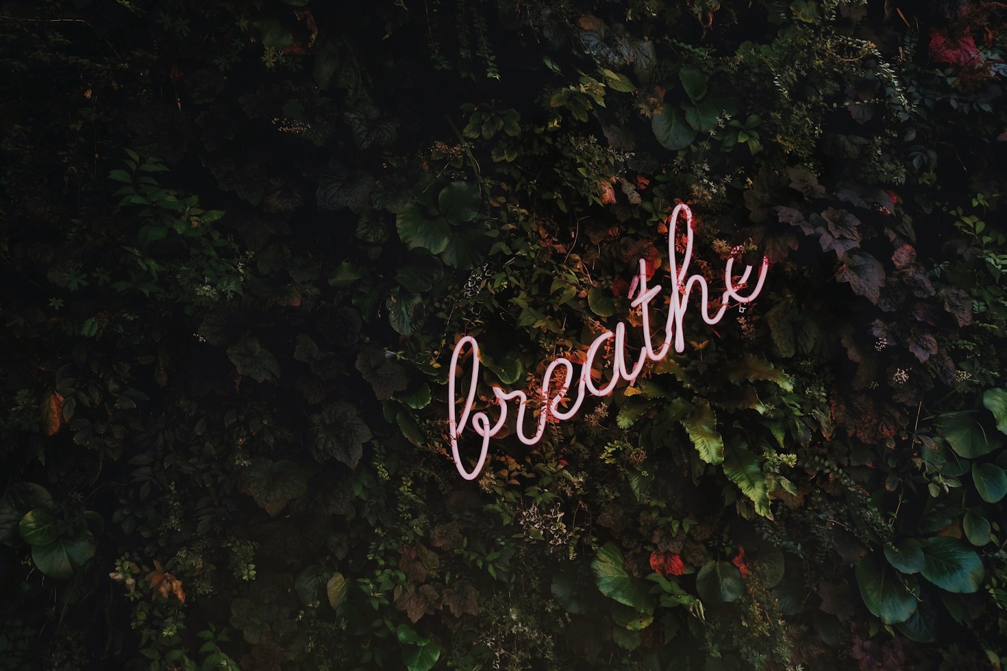 Enhancing Focus Through Meditation Strategies